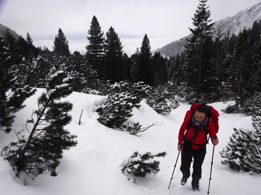 Prosincové Tatry