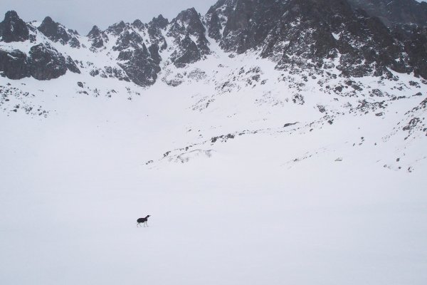 Únorové Tatry