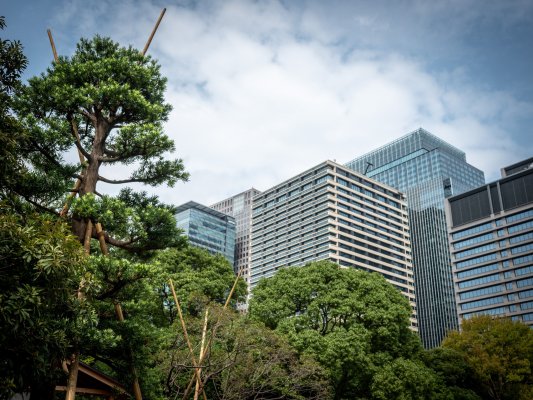 MS Hachioji