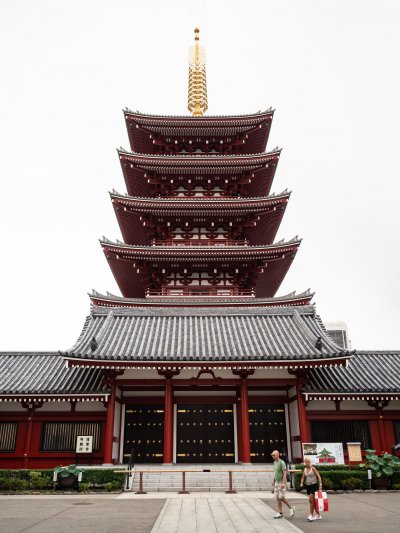 MS Hachioji