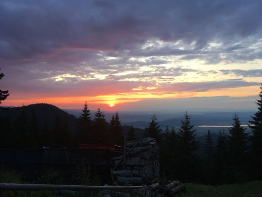 Fagaraš