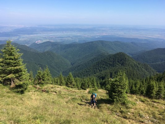 Fagaraš