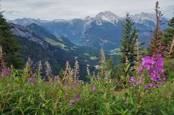 Berchtesgadenské Alpy