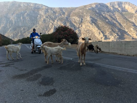 Κάλυμνος