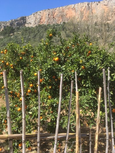 Chulilla Spain