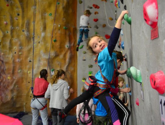 Skautské lezecké závody