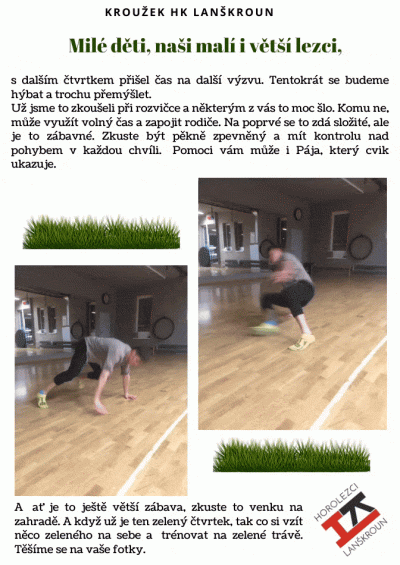 Křížovka a brouk