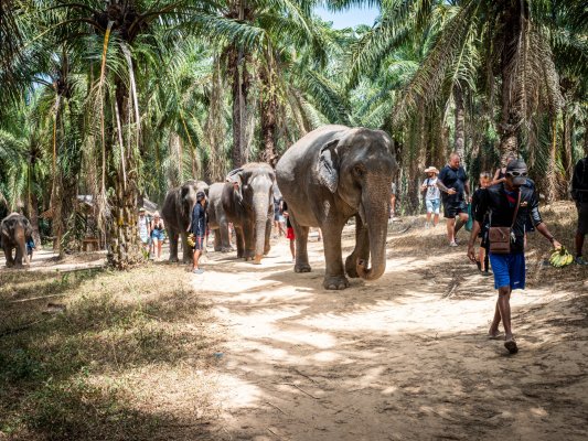 Thailand
