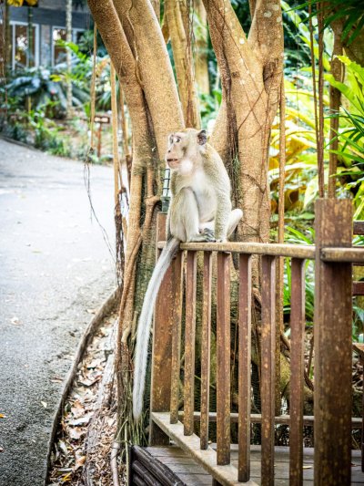 Thailand