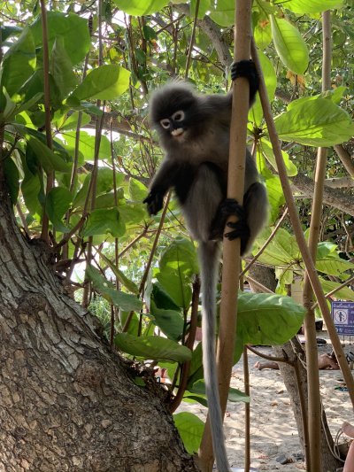 Thailand
