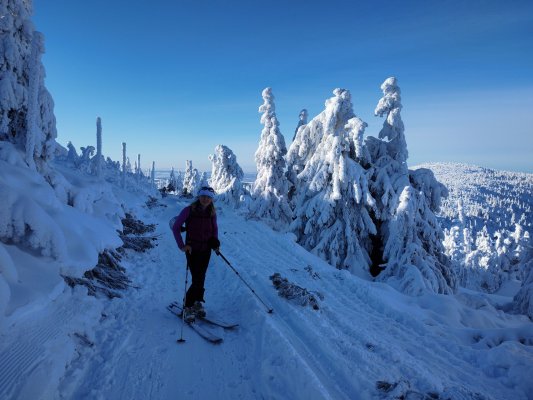 Setkání skialpinistů