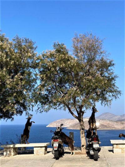 Kalymnos, lezecký ráj