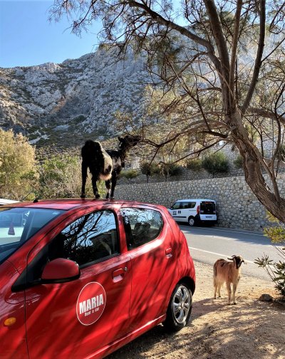 Kalymnos, lezecký ráj