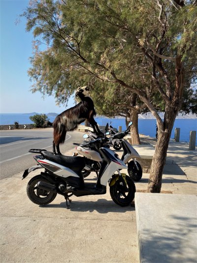 Kalymnos, lezecký ráj