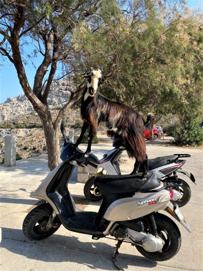 Kalymnos, lezecký ráj
