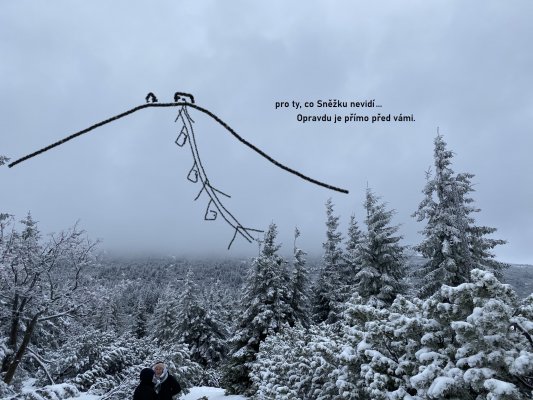 Sněžka
