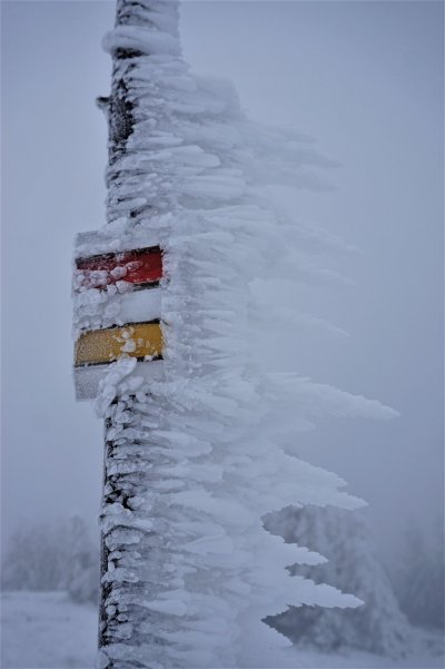 Kralický vrch
