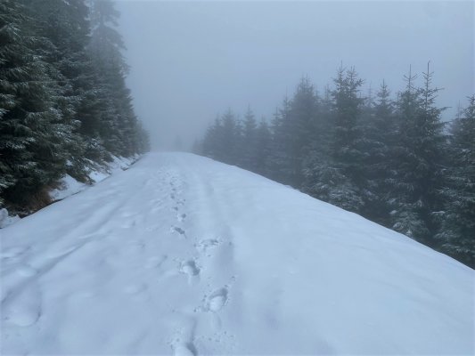 Kralický vrch