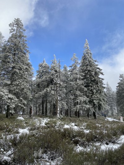 Kralický vrch