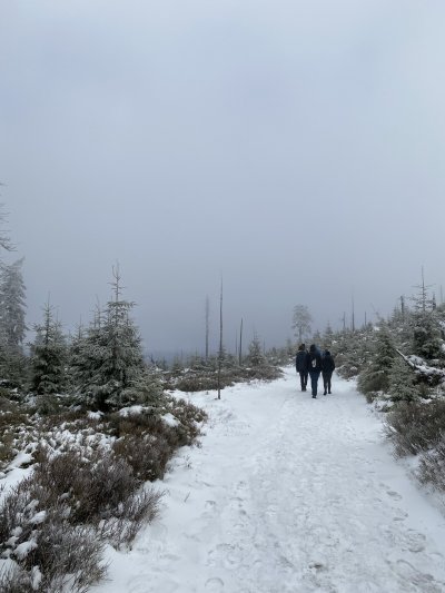 Kralický vrch