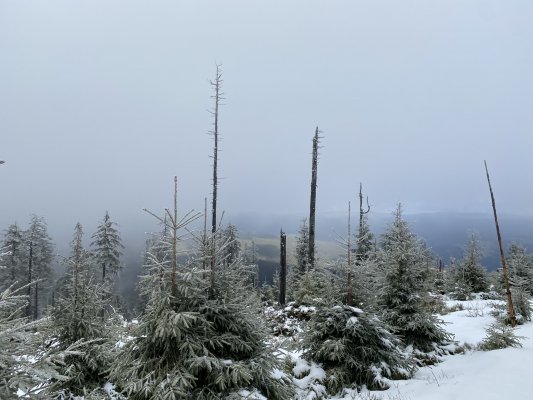 Kralický vrch