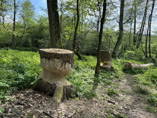 Cyklovýlet s lezčaty kolem rybníků