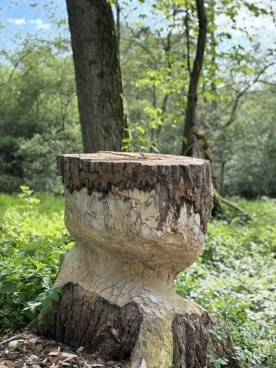 Cyklovýlet s lezčaty kolem rybníků