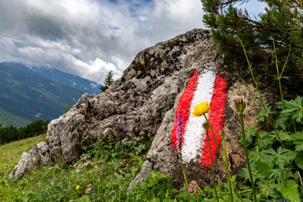 HK, Šumperk a Satalice v Alpách
