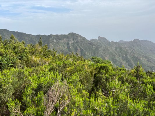 Tenerife