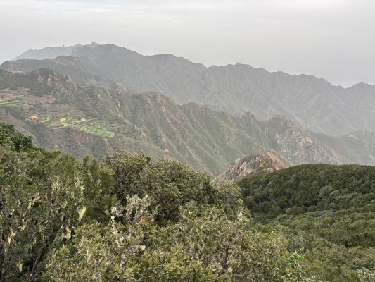 Tenerife