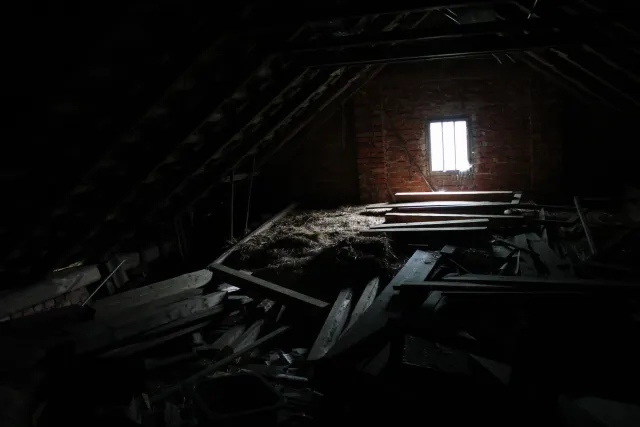 20130709 - Komáří memoáry