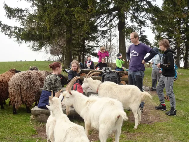 20220501 - Počítání oveček