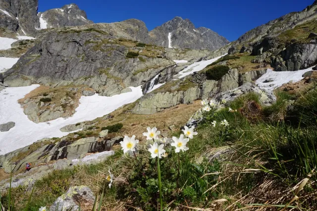 20220609 - Mladí Horalové v Tatrách